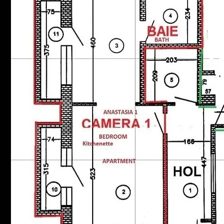Apartamento Anastasia Balcescu 1 Beautiful View Self Check In Code From 2 Pm Only Microwave