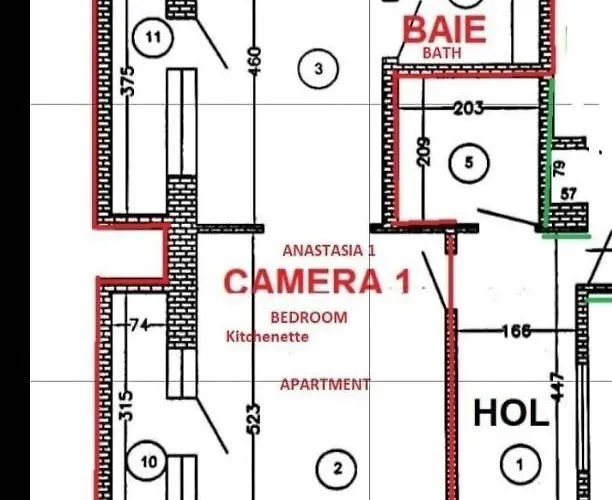 Apartament Anastasia Balcescu 1 Beautiful View Self Check In Code From 2 Pm Only Microwave