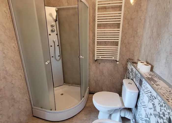 Apartament Anastasia Balcescu 1 Beautiful View Self Check In Code From 2 Pm Only Microwave *